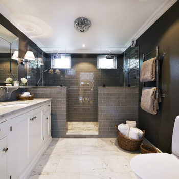 1-bath-big-view-darker